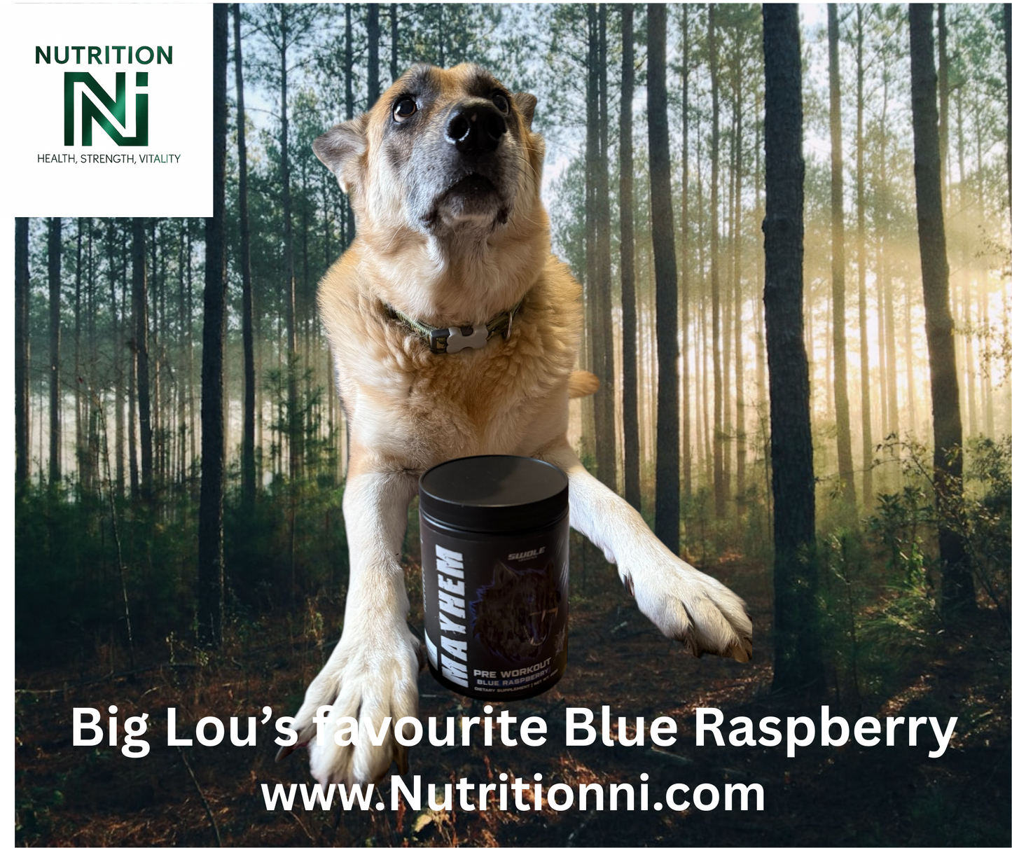 SWOLE MAYHEM pre-workout 450g